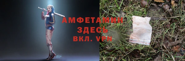 прущие грибы Алексеевка
