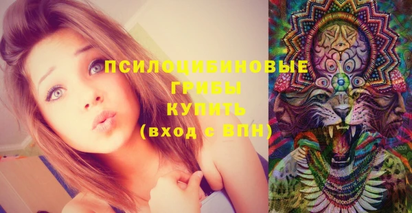 прущие грибы Алексеевка