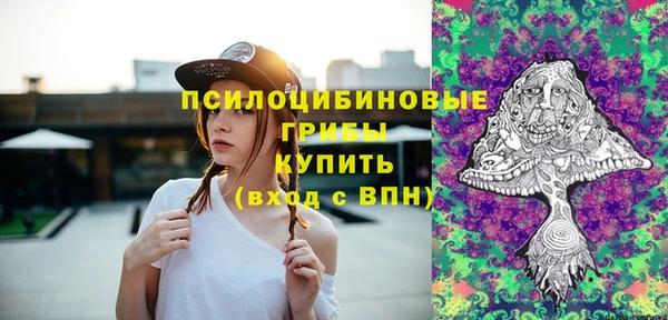 дживик Алексин