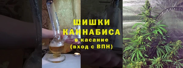 шишки Абинск