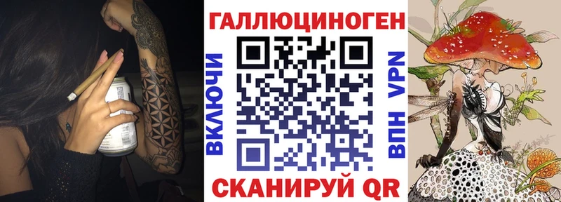 блэк спрут tor  Ярославль  Псилоцибиновые грибы Cubensis 